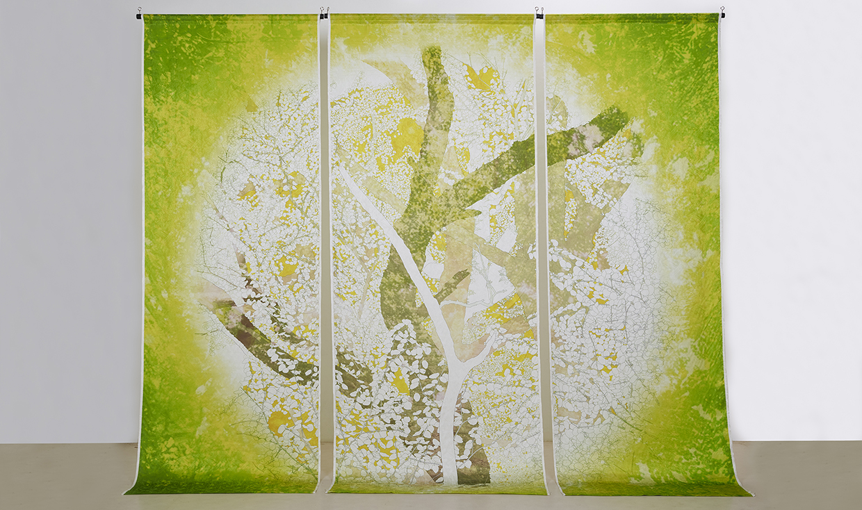 大カツラ-ハート　煌めき